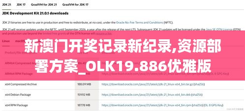 新澳门开奖记录新纪录,资源部署方案_OLK19.886优雅版