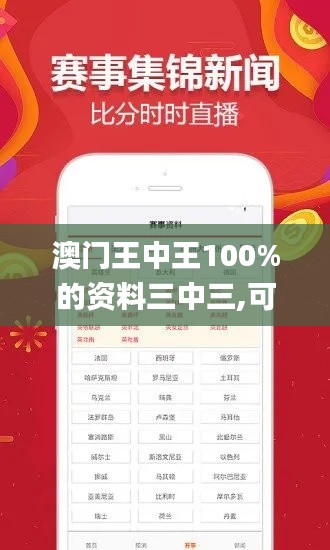 澳门王中王100%的资料三中三,可靠执行操作方式_DPH19.133云技术版