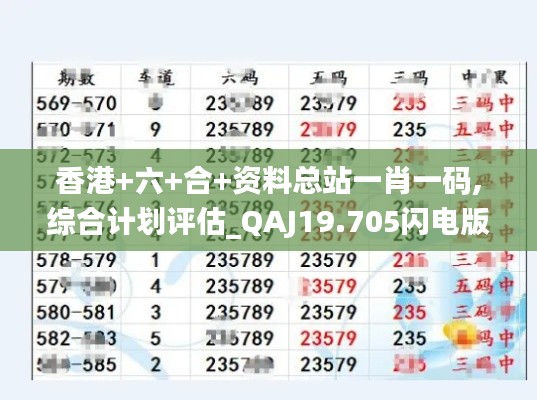 香港+六+合+资料总站一肖一码,综合计划评估_QAJ19.705闪电版