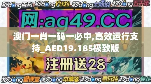 澳门一肖一码一必中,高效运行支持_AED19.185极致版