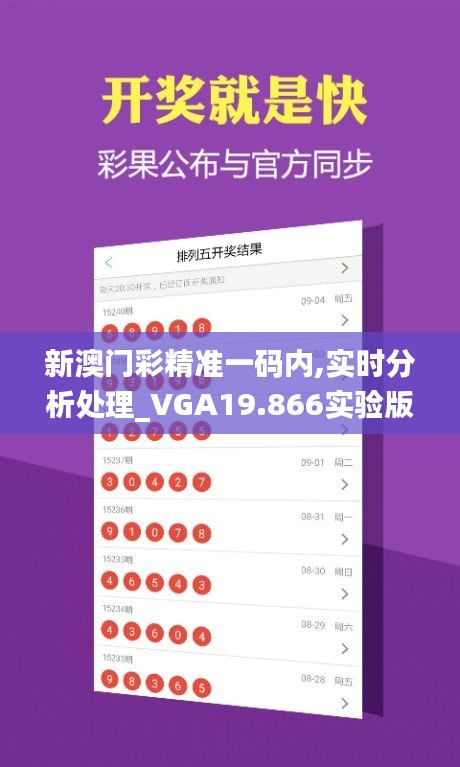 新澳门彩精准一码内,实时分析处理_VGA19.866实验版