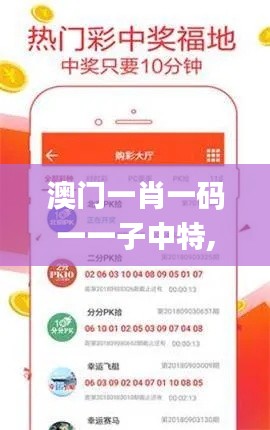 澳门一肖一码一一子中特,数据驱动方案_TFN19.830掌中宝