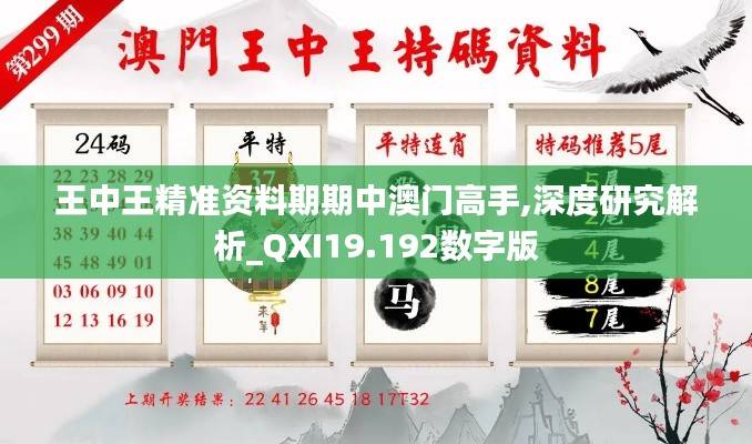 王中王精准资料期期中澳门高手,深度研究解析_QXI19.192数字版