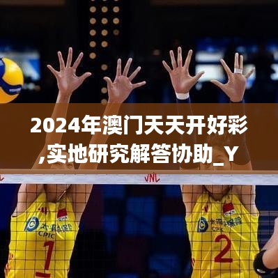 2024年澳门天天开好彩,实地研究解答协助_YLZ19.599限量版