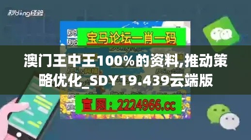 澳门王中王100%的资料,推动策略优化_SDY19.439云端版