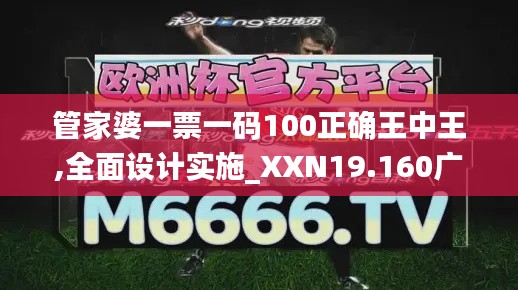 管家婆一票一码100正确王中王,全面设计实施_XXN19.160广播版