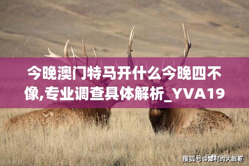 今晚澳门特马开什么今晚四不像,专业调查具体解析_YVA19.968悬浮版