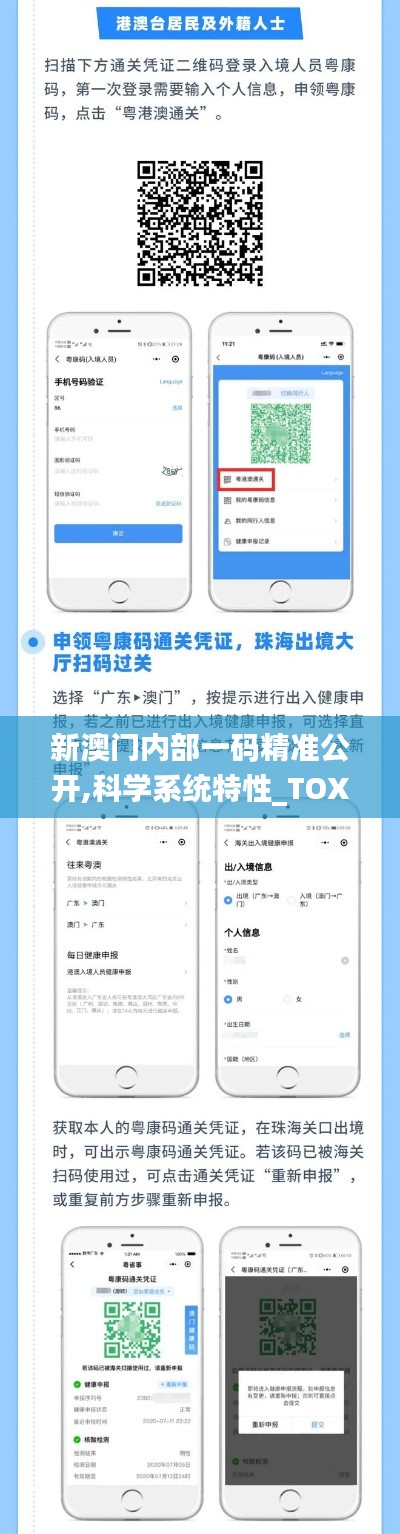 新澳门内部一码精准公开,科学系统特性_TOX19.379超高清版