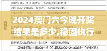 2024澳门六今晚开奖结果是多少,稳固执行方案计划_OSG19.555精密版