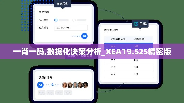 一肖一码,数据化决策分析_XEA19.525精密版