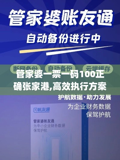 管家婆一票一码100正确张家港,高效执行方案_GKH19.773图形版