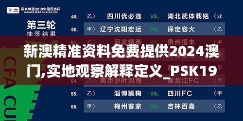 新澳精准资料免费提供2024澳门,实地观察解释定义_PSK19.284特供版