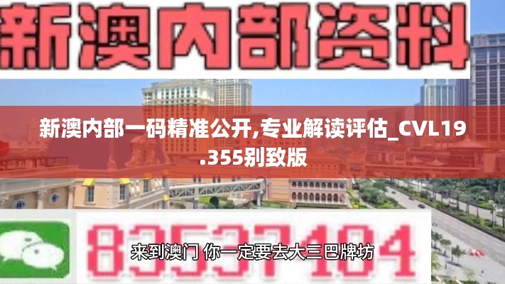 新澳内部一码精准公开,专业解读评估_CVL19.355别致版