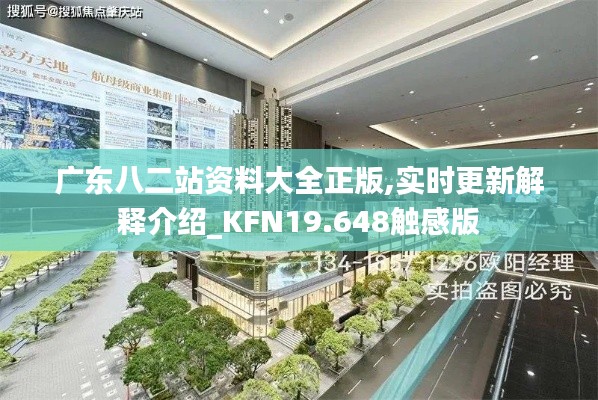 广东八二站资料大全正版,实时更新解释介绍_KFN19.648触感版