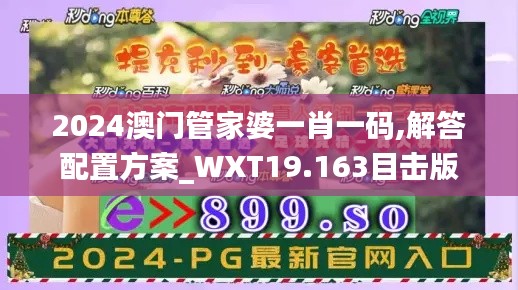 2024澳门管家婆一肖一码,解答配置方案_WXT19.163目击版