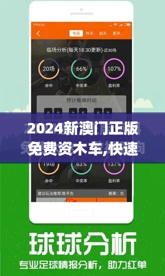 2024新澳门正版免费资木车,快速解答方案实践_KLO19.332远光版