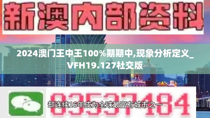 2024澳门王中王100%期期中,现象分析定义_VFH19.127社交版