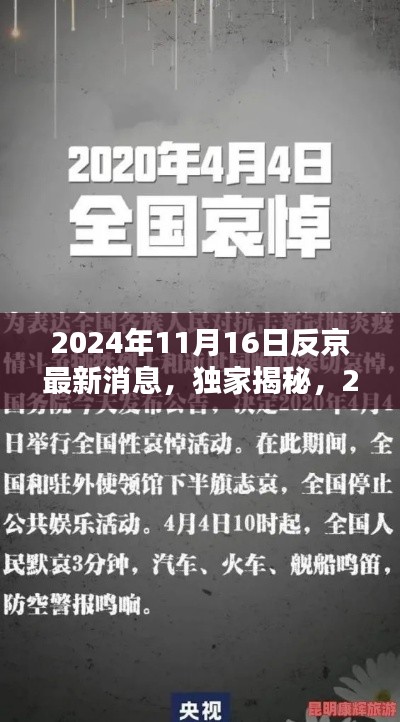 独家揭秘，2024年11月16日反京最新动态消息全解析