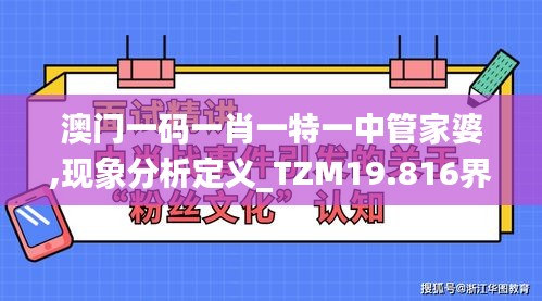 澳门一码一肖一特一中管家婆,现象分析定义_TZM19.816界面版