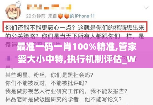 最准一码一肖100%精准,管家婆大小中特,执行机制评估_WDA19.989美学版