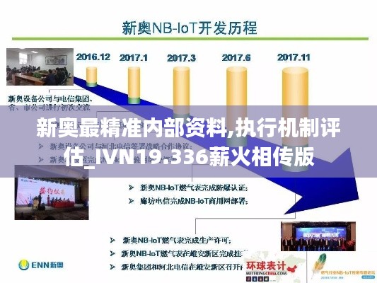 新奥最精准内部资料,执行机制评估_IVN19.336薪火相传版