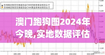 澳门跑狗图2024年今晚,实地数据评估分析_IQM19.358结合版