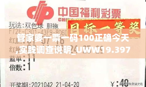 管家婆一票一码100正确今天,实践调查说明_UWW19.397外观版