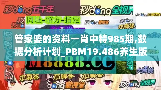 管家婆的资料一肖中特985期,数据分析计划_PBM19.486养生版