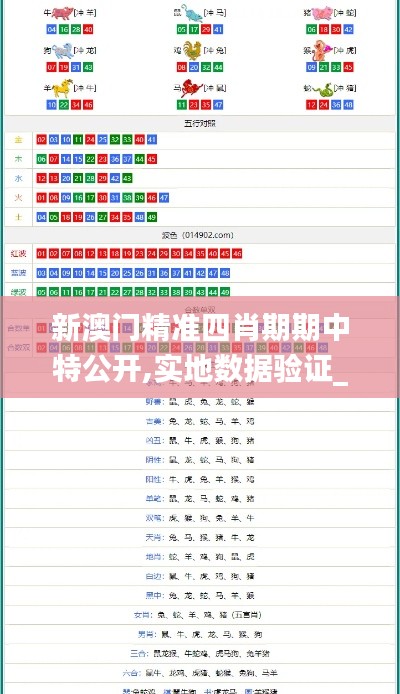 新澳门精准四肖期期中特公开,实地数据验证_AYL19.741影像版