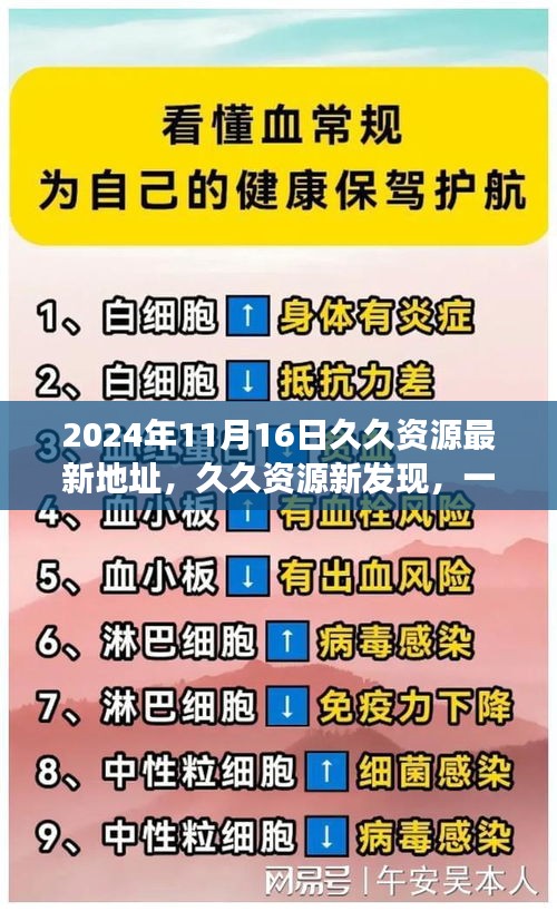 久久资源新发现，温馨友谊之旅启程于2024年11月16日