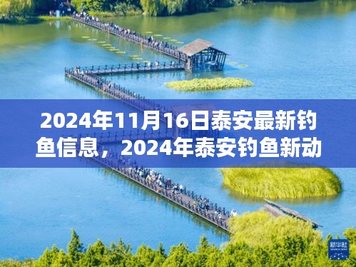 泰安钓鱼新动向深度解析，最新钓鱼信息与策略揭秘（2024年11月）