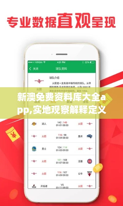 新澳免费资料库大全app,实地观察解释定义_PZM19.594并行版