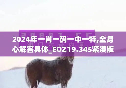 2024年一肖一码一中一特,全身心解答具体_EOZ19.345紧凑版