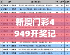 新澳门彩4949开奖记录,实际调研解析_QTK19.842家庭版