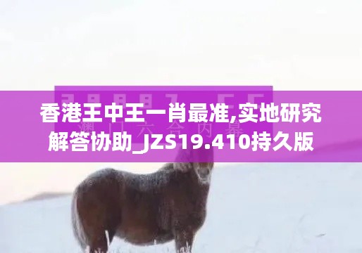 香港王中王一肖最准,实地研究解答协助_JZS19.410持久版