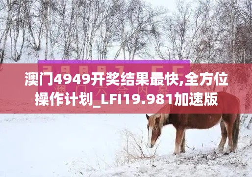 澳门4949开奖结果最快,全方位操作计划_LFI19.981加速版