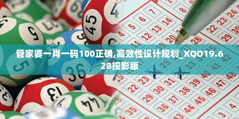 管家婆一肖一码100正确,高效性设计规划_XQO19.628投影版