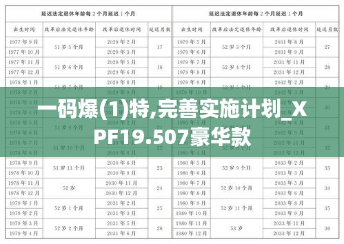 一码爆(1)特,完善实施计划_XPF19.507豪华款