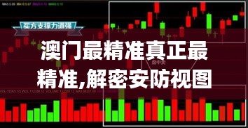 澳门最精准真正最精准,解密安防视图_HWS19.834天然版