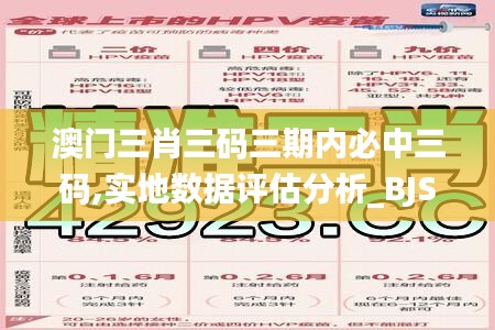 澳门三肖三码三期内必中三码,实地数据评估分析_BJS19.496时空版