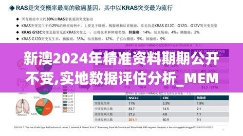 新澳2024年精准资料期期公开不变,实地数据评估分析_MEM19.323迅捷版