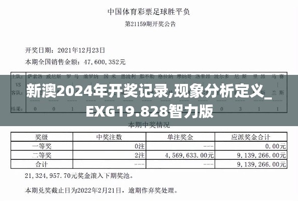 新澳2024年开奖记录,现象分析定义_EXG19.828智力版