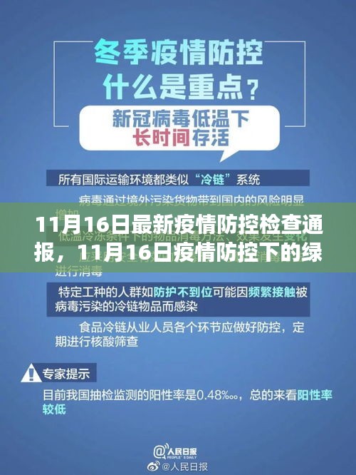 11月16日疫情防控下的绿色探索，自然美景与内心平静的交融时刻