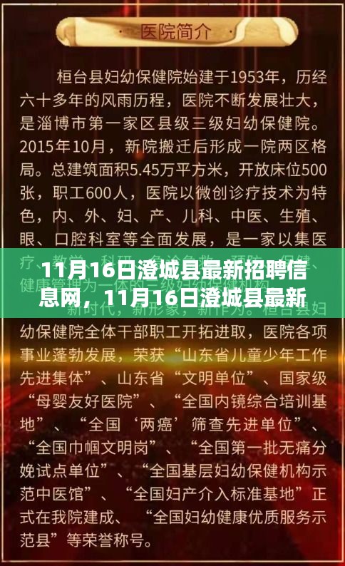 11月16日澄城县最新招聘信息网，职场人的首选招聘平台