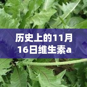 历史上的11月16日维生素A最新报价解析及获取最新信息指南