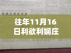 往年11月16日利欲利娴庄，新探与深思