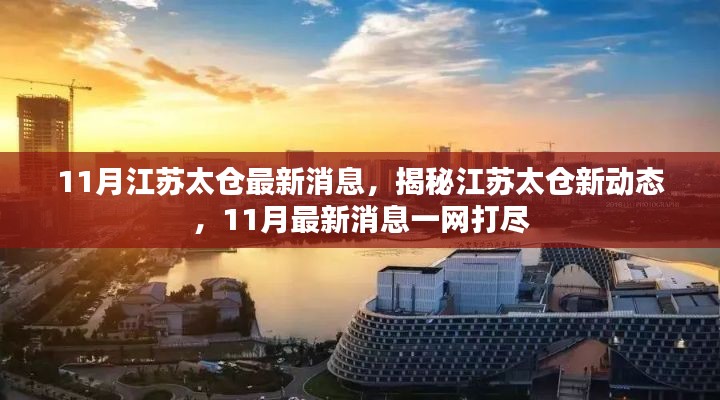 揭秘江苏太仓新动态，11月最新消息汇总