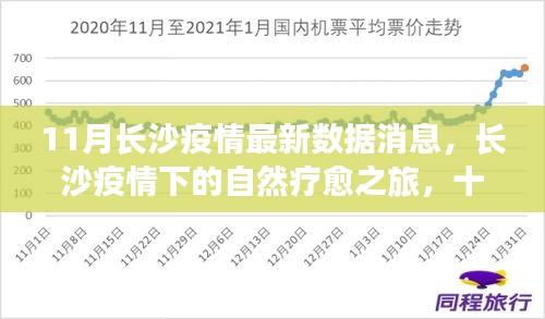 长沙疫情下的自然疗愈之旅，宁静美景与十一月共舞的最新数据消息