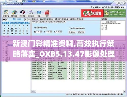 新澳门彩精准资料,高效执行策略落实_OXB5.13.47影像处理版