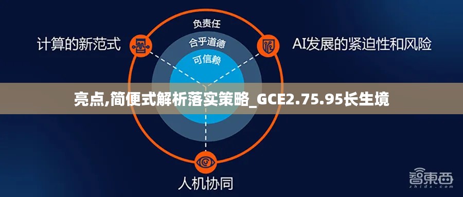 亮点,简便式解析落实策略_GCE2.75.95长生境